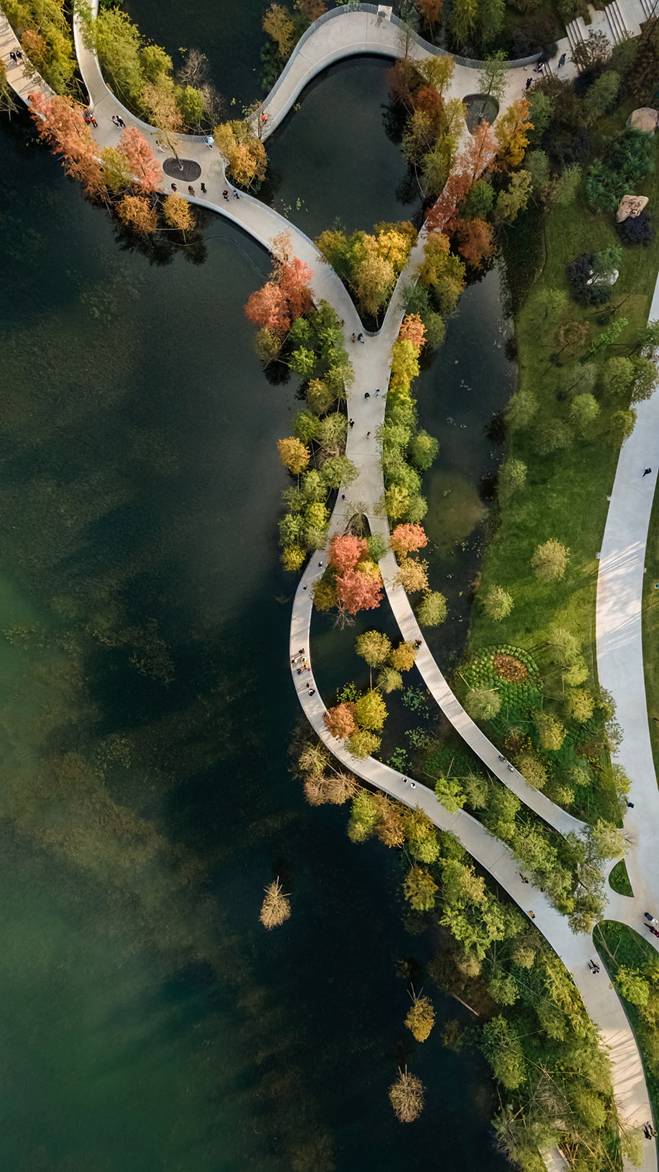 Xinglong Lake Lakeside Woods Library Yudao Landscape Design