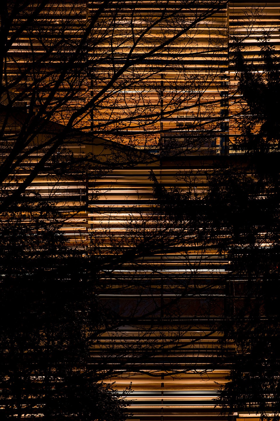 Albert Kahn Museum by kkaa