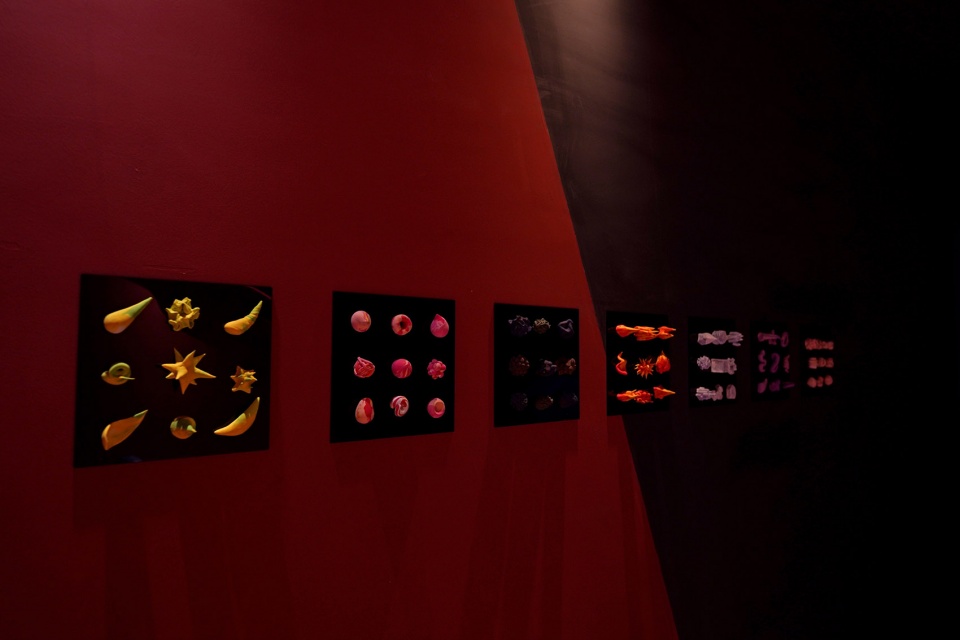 Hotel Eutrobia WOOSO Studio