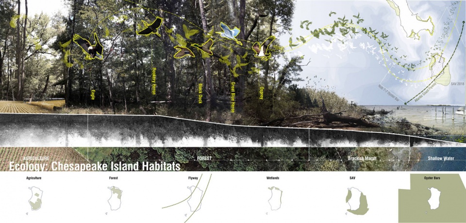 2021 asla analysis and planning award of honor parsons island conservation and regeneration plan mahan rykiel associates