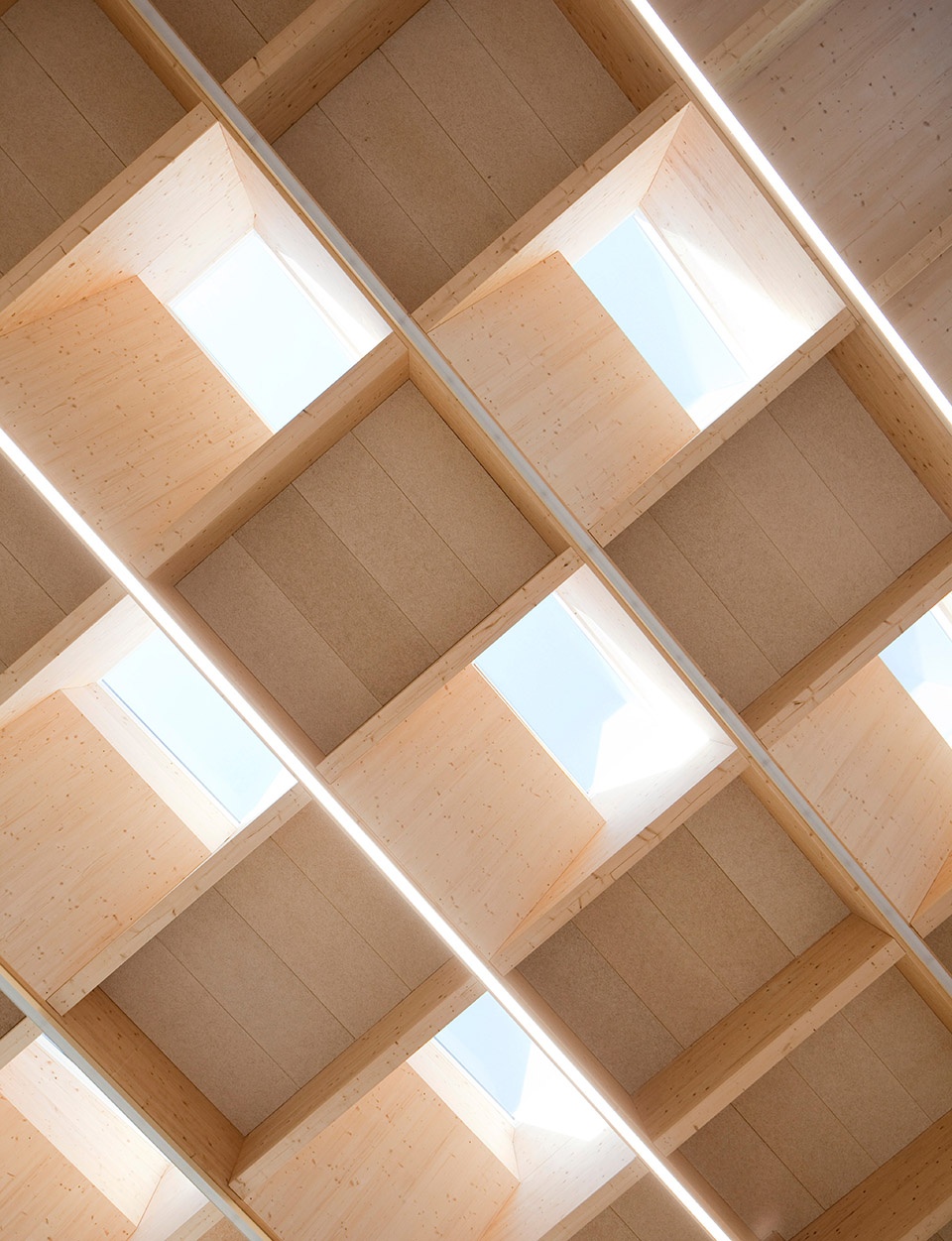 AGORA by ARTBUILD ARCHITECTS