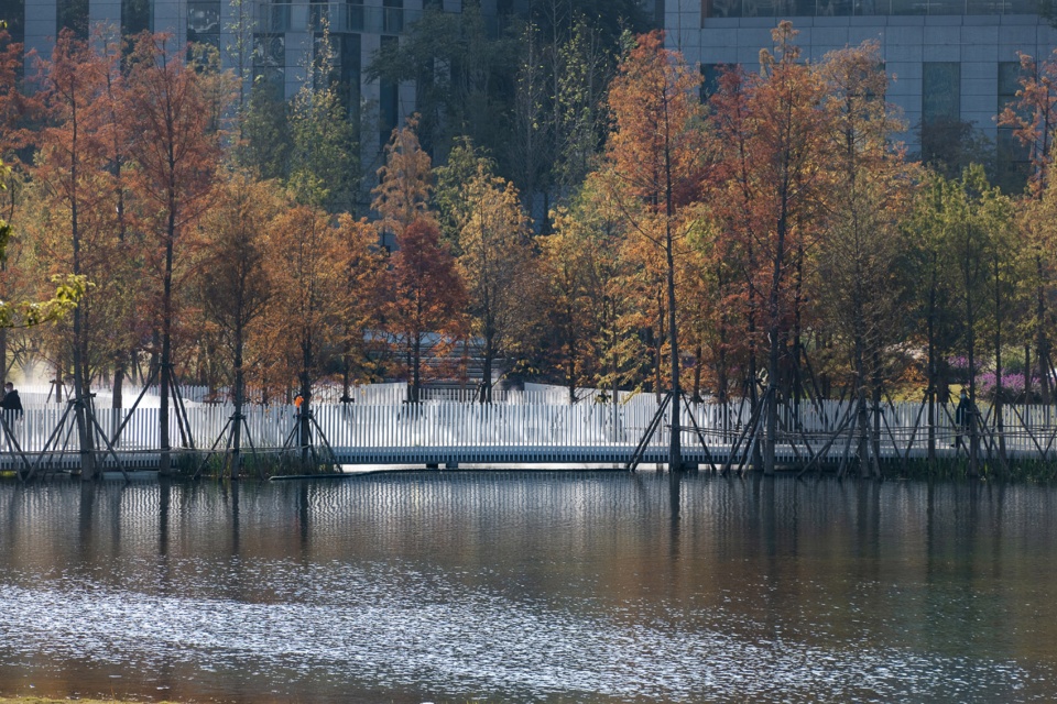 Xinglong Lake Lakeside Woods Library Yudao Landscape Design