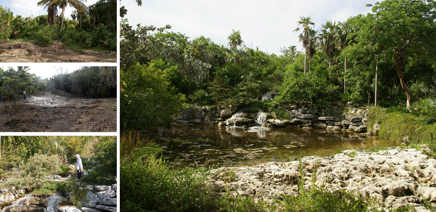 2021 asla general design award of honor the leon levy native plant preserve raymond jungles inc