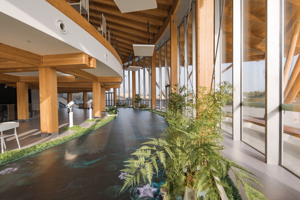 Floating Leaf China by GREEN ARCHITECTS