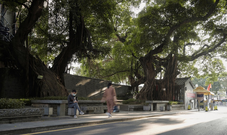 review of the year monthly most popular landscape projects of 2022