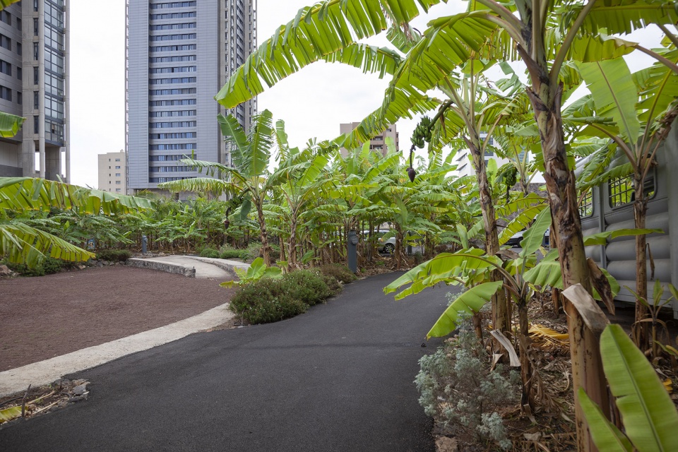 el tanque garden by fernando menis architects