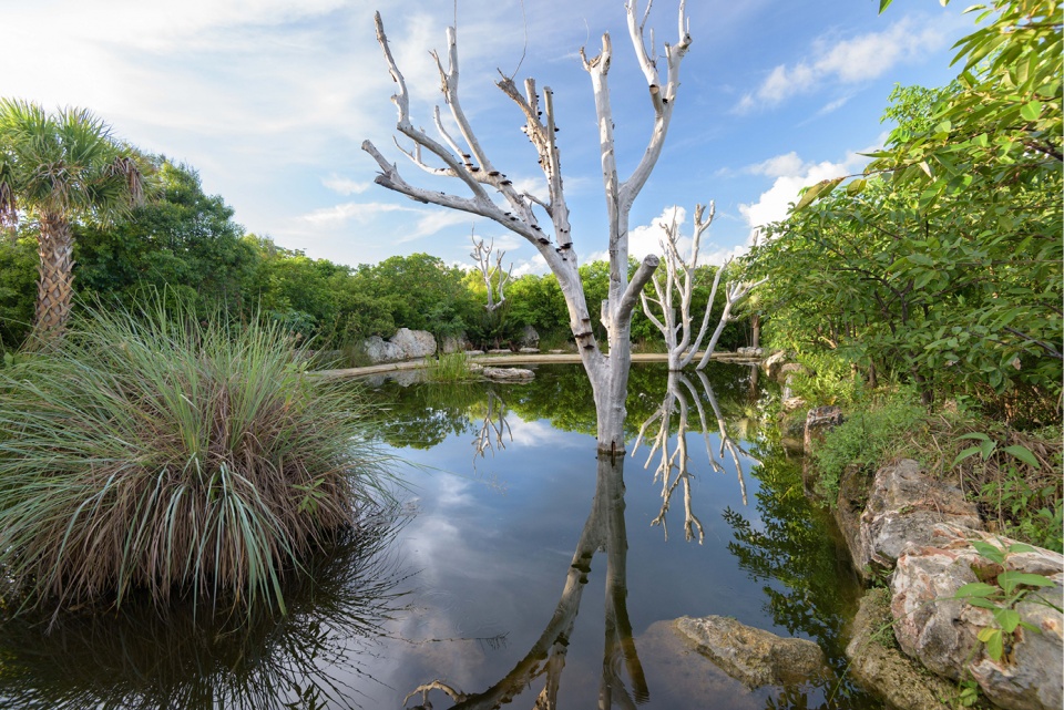 2021 asla general design award of honor the leon levy native plant preserve raymond jungles inc