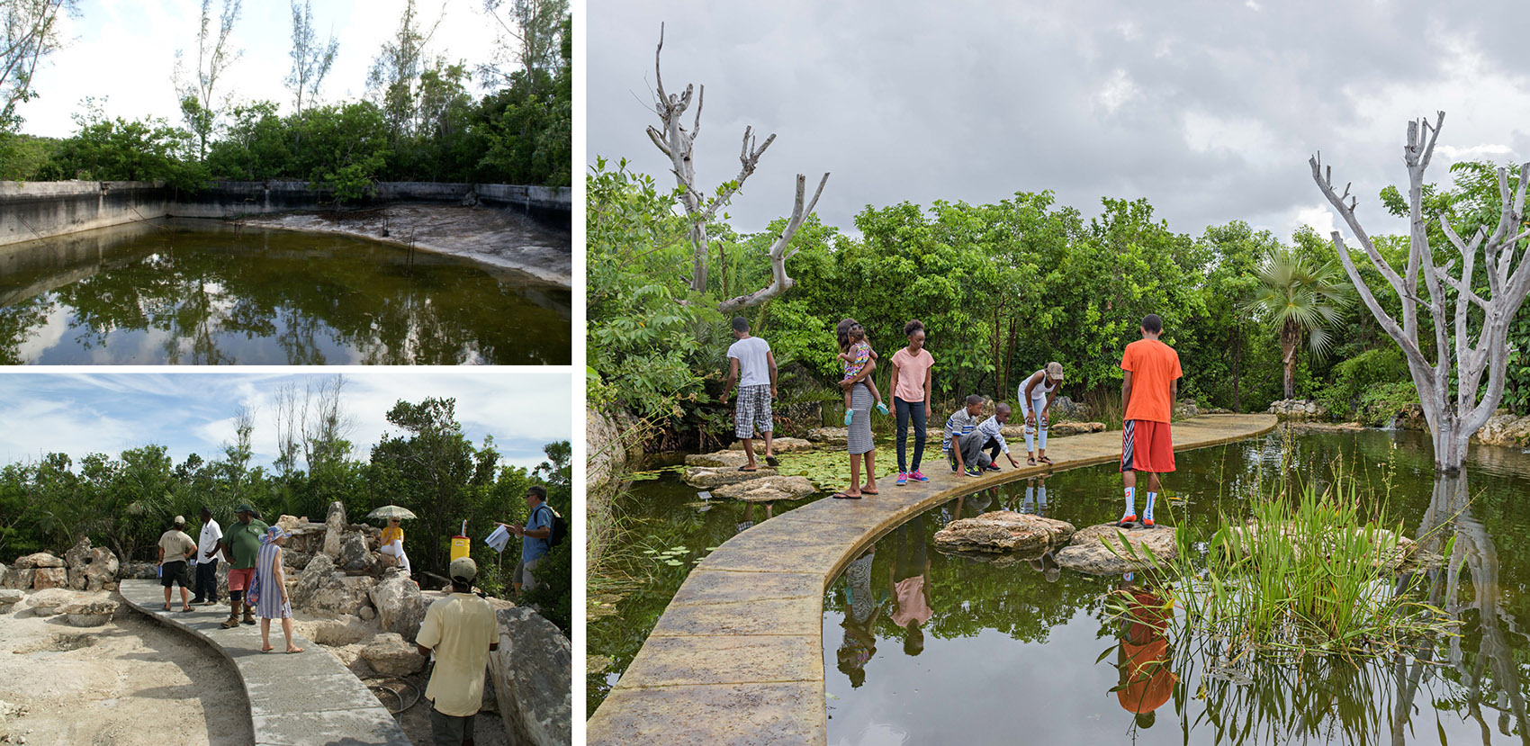 2021 asla general design award of honor the leon levy native plant preserve raymond jungles inc