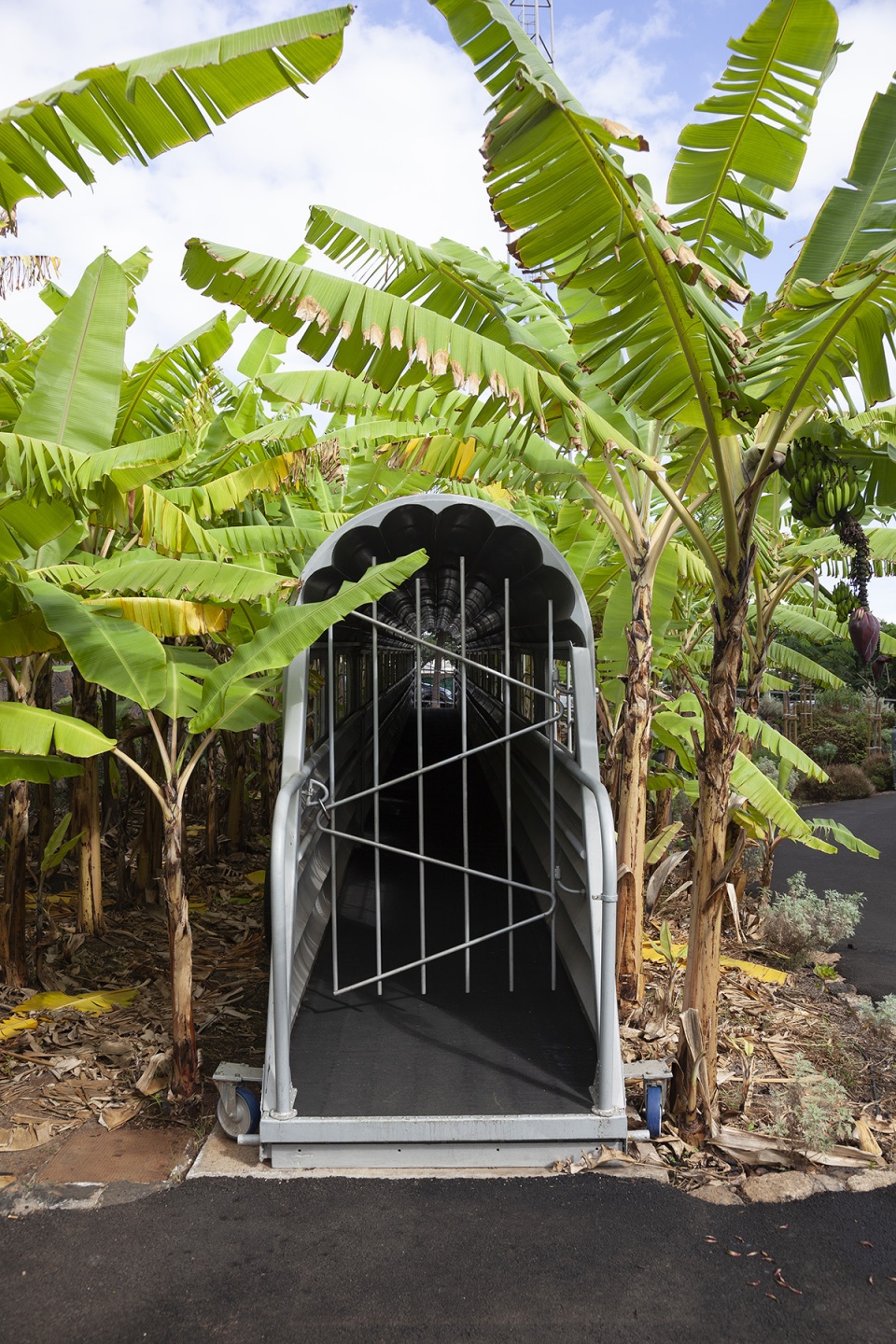 el tanque garden by fernando menis architects