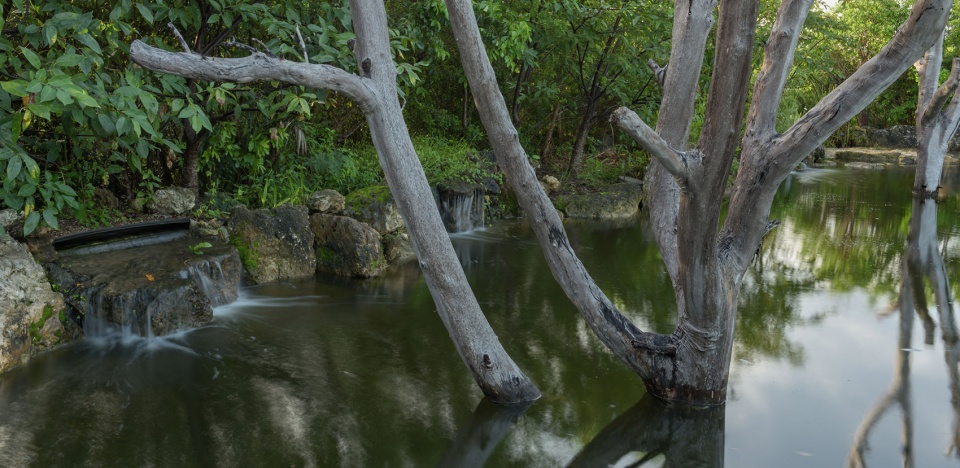 2021 asla general design award of honor the leon levy native plant preserve raymond jungles inc