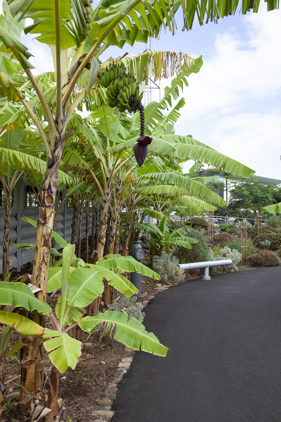 el tanque garden by fernando menis architects