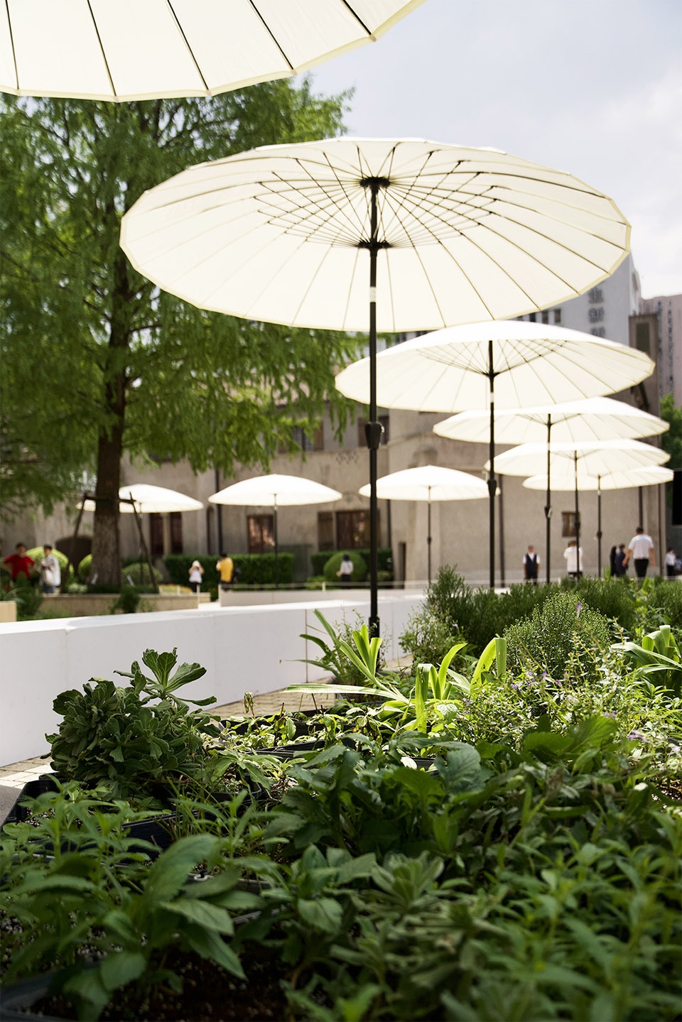 landscape design of klee klee friends shanghai by possibilism design studio