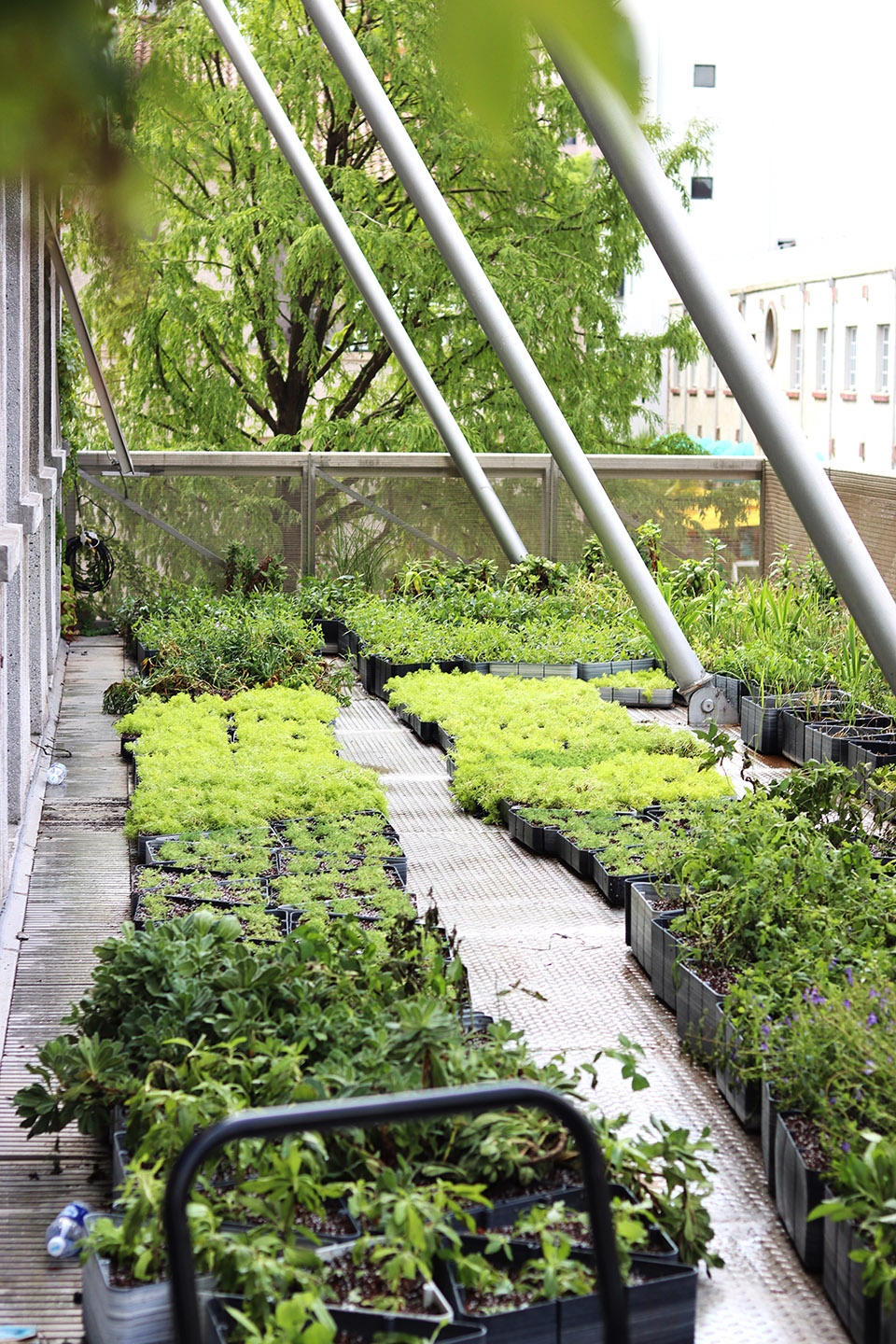 landscape design of klee klee friends shanghai by possibilism design studio