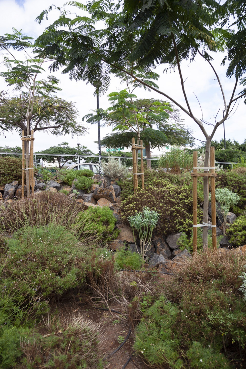 el tanque garden by fernando menis architects
