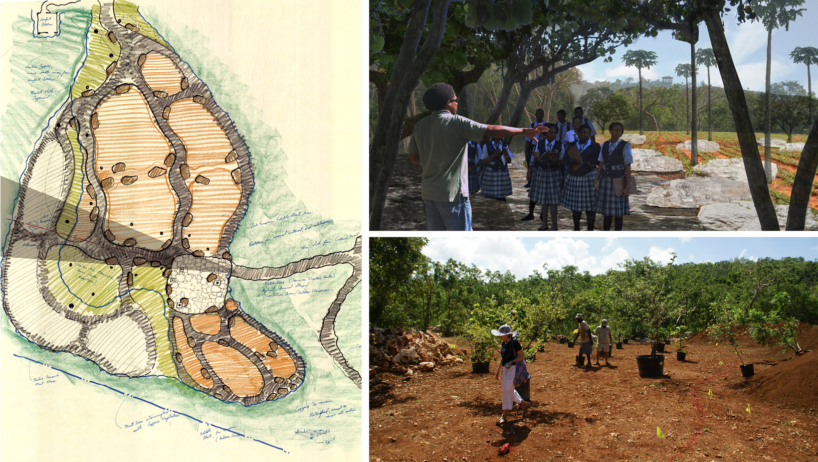 2021 ASLA GENERAL DESIGN AWARD OF HONOR The Leon Levy Native Plant