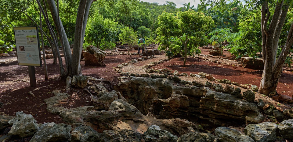 2021 asla general design award of honor the leon levy native plant preserve raymond jungles inc