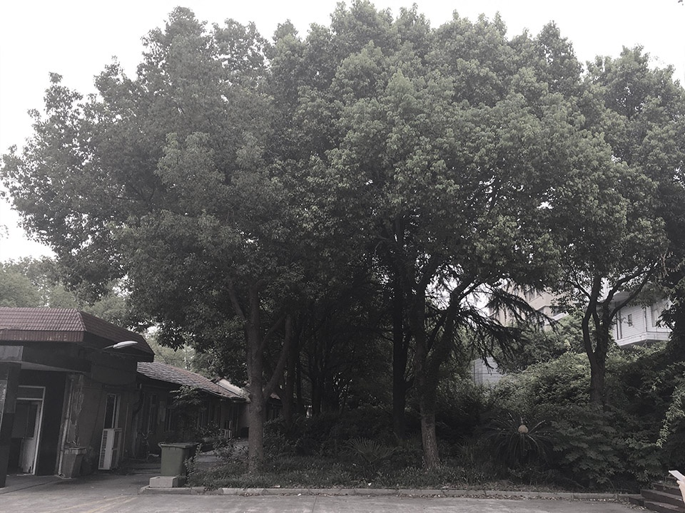 Rubber Factory Park Vi PARK China by Atelier Scale