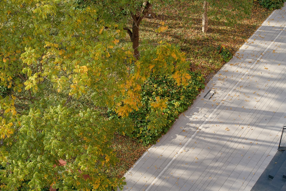Rubber Factory Park Vi PARK China by Atelier Scale