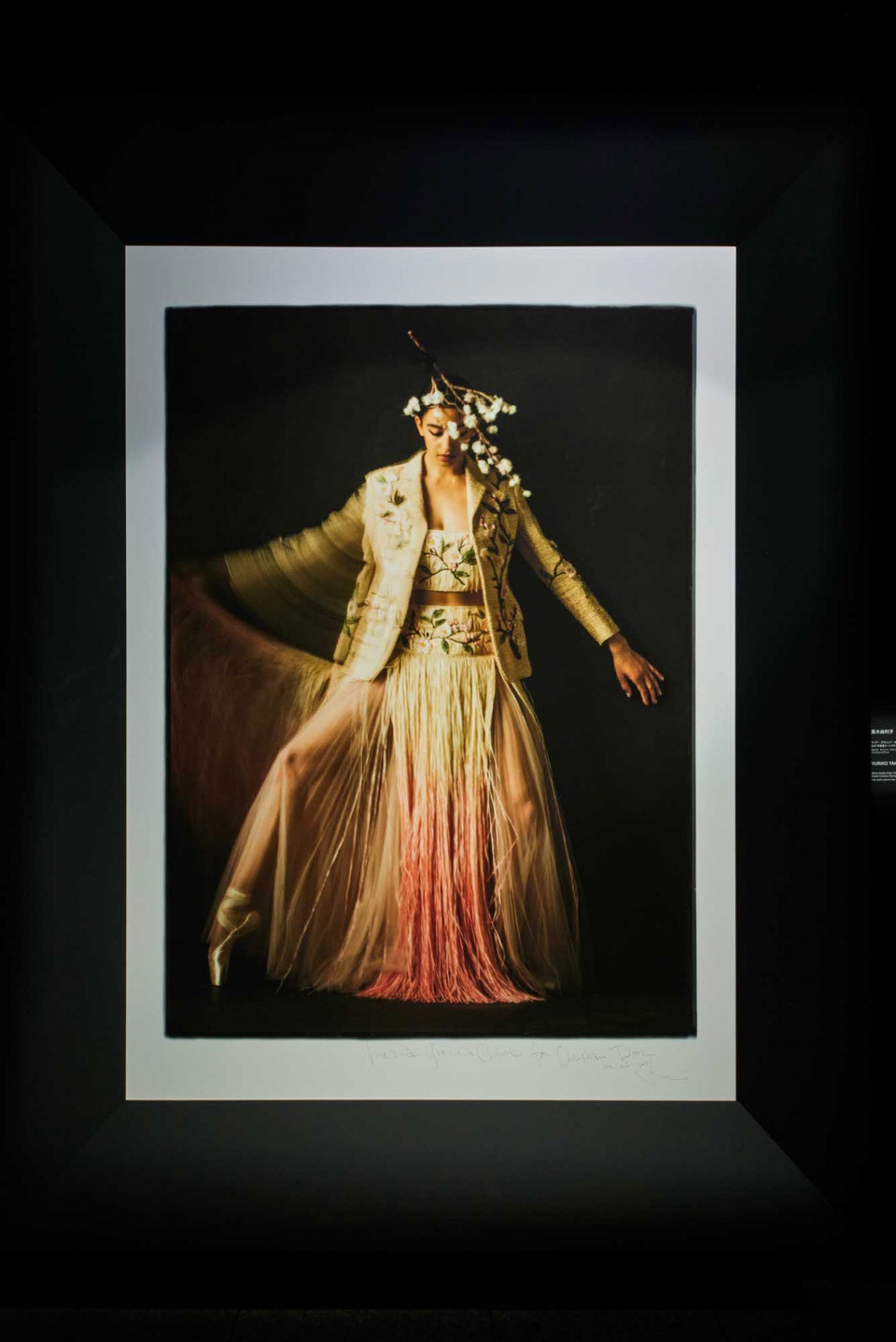 Christian Dior Designer Of Dreams by OMA Shohei Shigematsu