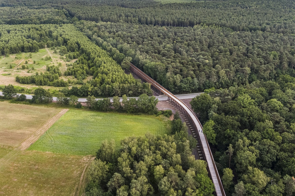 Cycling through the Heathland in the Hoge Kempen National Park by Maat Ontwerpers
