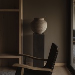 Tres Árboles住宅，墨西哥 / dıreccıon