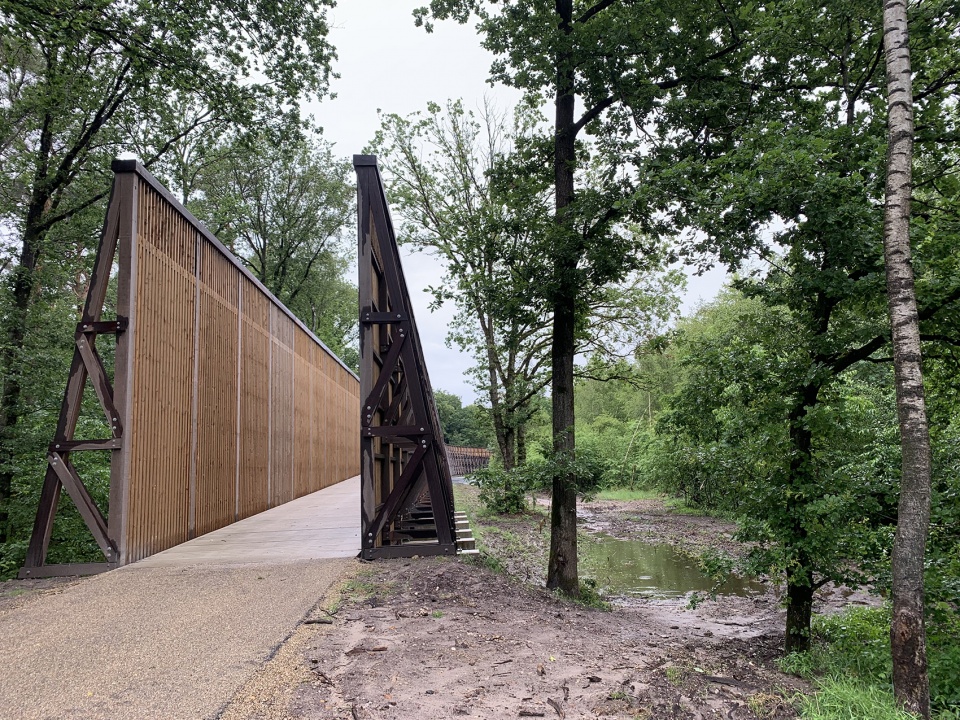 Cycling through the Heathland in the Hoge Kempen National Park by Maat Ontwerpers