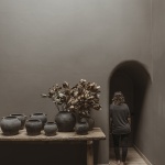 Tres Árboles住宅，墨西哥 / dıreccıon