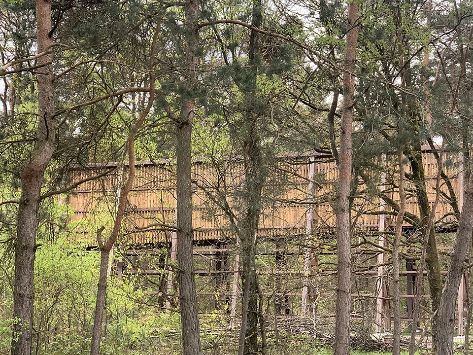Cycling through the Heathland in the Hoge Kempen National Park by Maat Ontwerpers