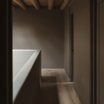 Tres Árboles住宅，墨西哥 / dıreccıon