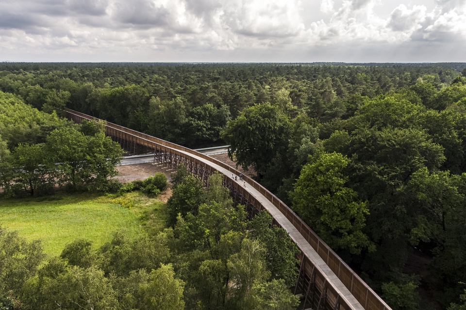 Cycling through the Heathland in the Hoge Kempen National Park by Maat Ontwerpers