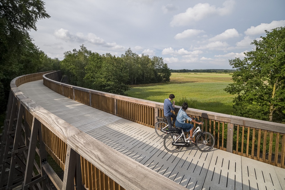 Cycling through the Heathland in the Hoge Kempen National Park by Maat Ontwerpers