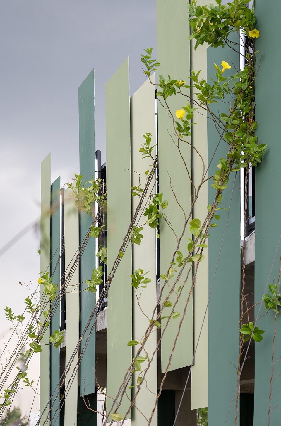 Benchakitti Rain Forest Observatory by HAS design and research vva