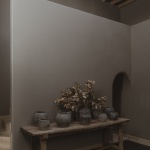 Tres Árboles住宅，墨西哥 / dıreccıon