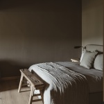 Tres Árboles住宅，墨西哥 / dıreccıon