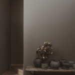 Tres Árboles住宅，墨西哥 / dıreccıon