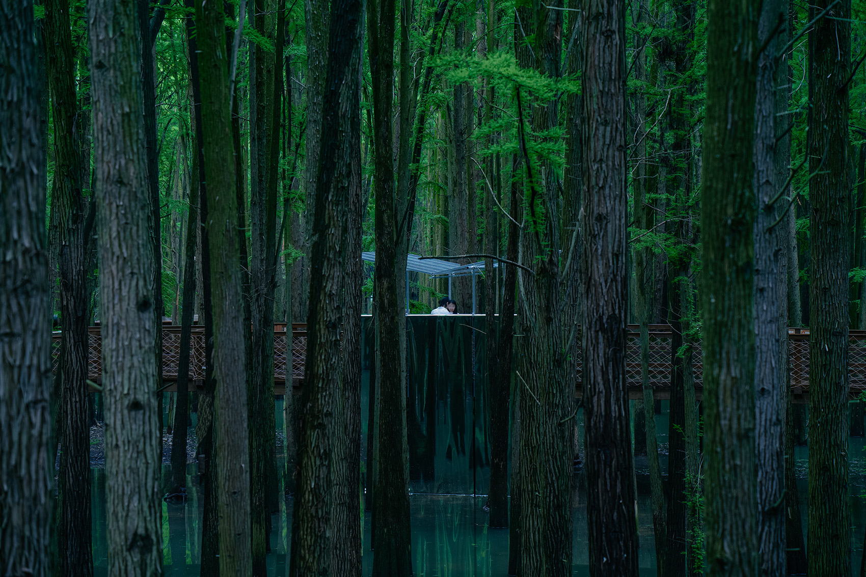 Temporary Pavilions in Aquatic Forest Park, China by Atelier Gegeben