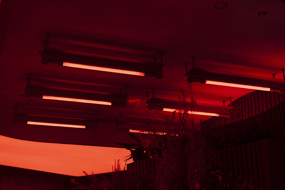 M CAFE China by OR Design