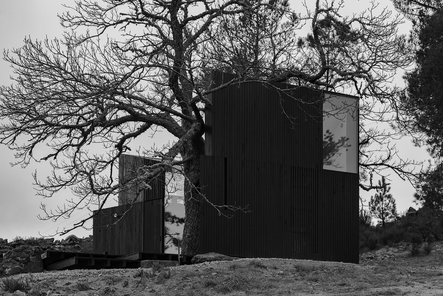 Chestnut House by João Mendes Ribeiro Architect 谷德设计网