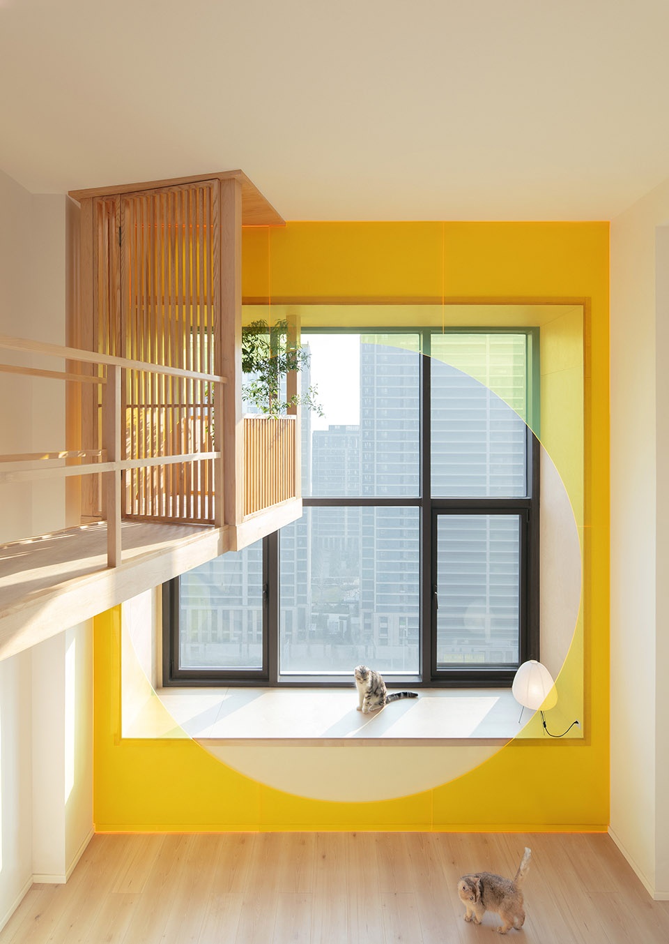 home for a girl and six cats residential unit design by jiejie studio