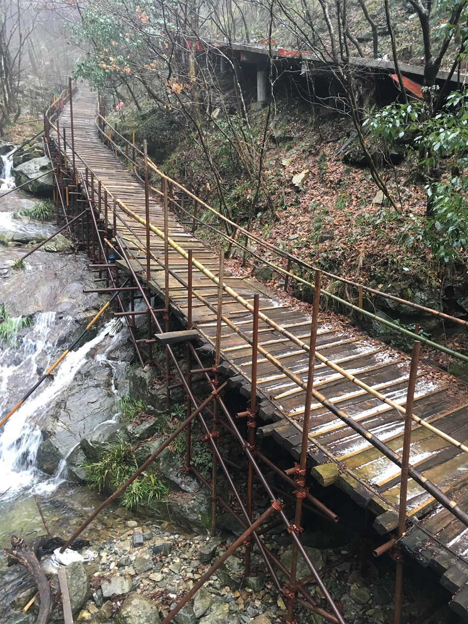 Bamboo Forest Walking Path at Sun Township Huoshan County Anhui Province by Fu Yingbin Studio