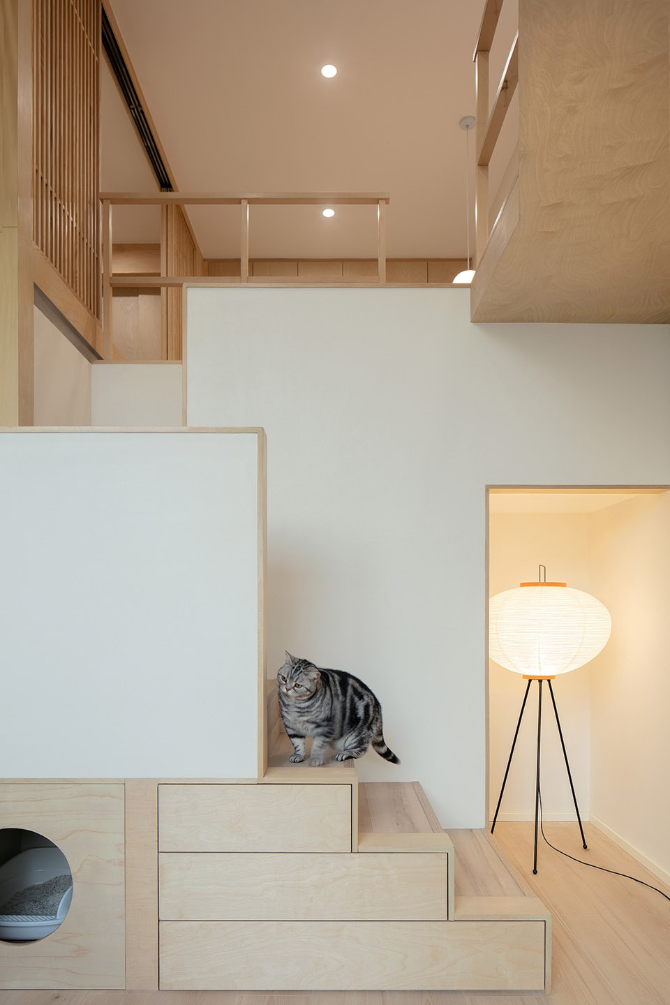 home for a girl and six cats residential unit design by jiejie studio