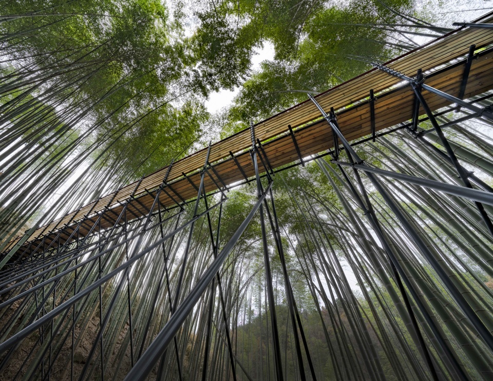 Bamboo Forest Walking Path at Sun Township Huoshan County Anhui Province by Fu Yingbin Studio
