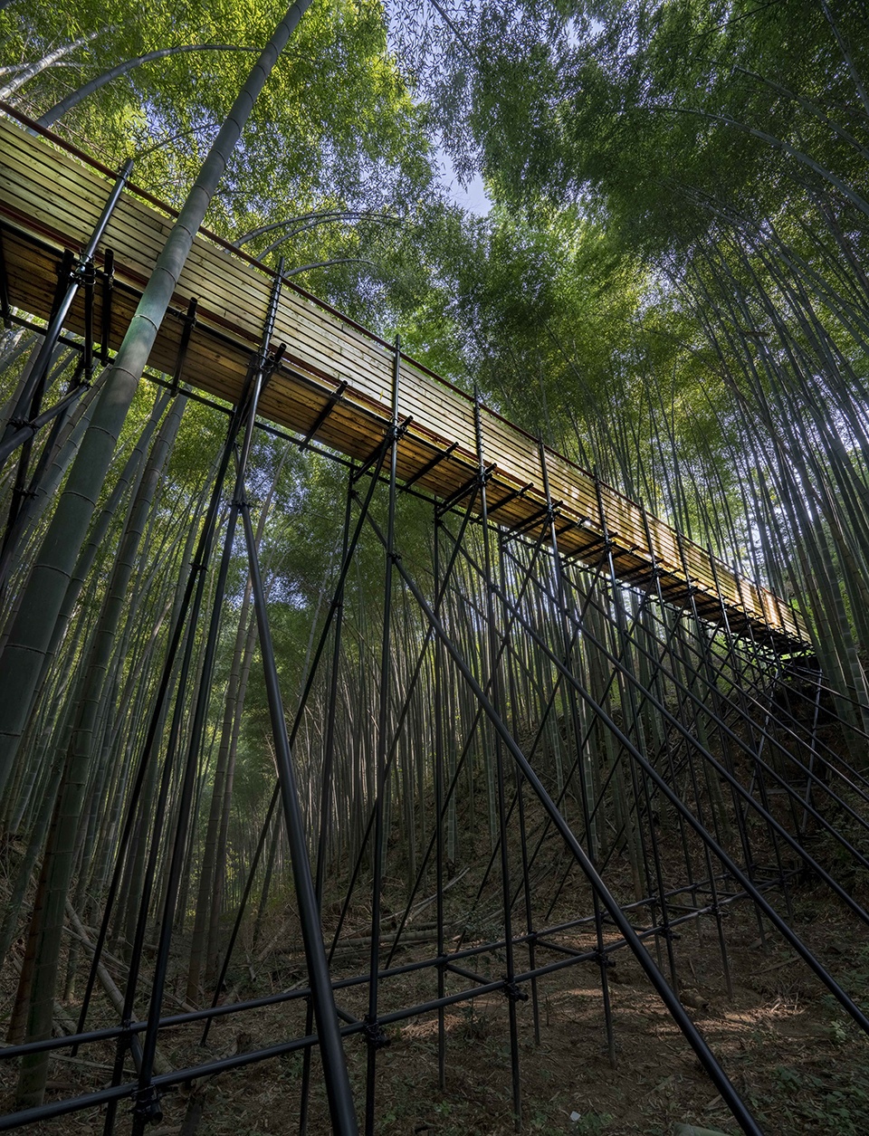 Bamboo Forest Walking Path at Sun Township Huoshan County Anhui Province by Fu Yingbin Studio