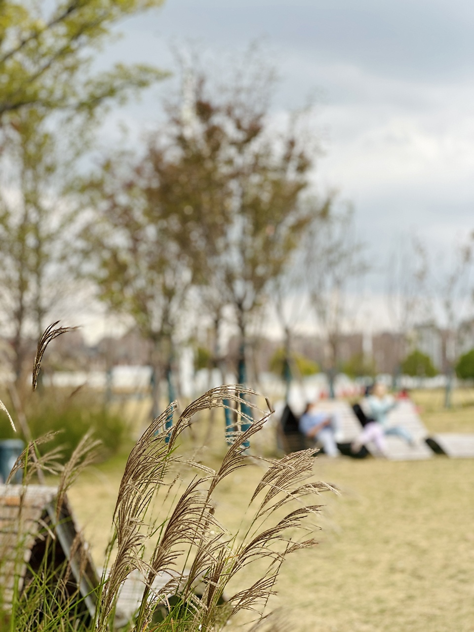 Shangkun Yueshan South Riverfront Community Park by Possibilism Design Studio