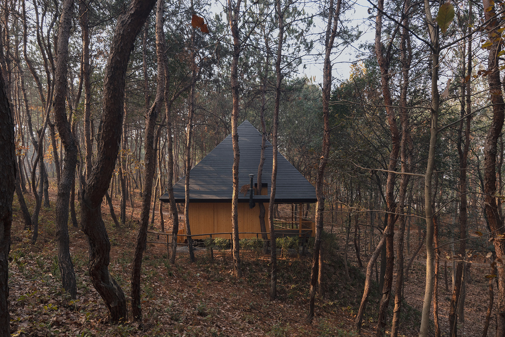 Illustration of Wild Home Building