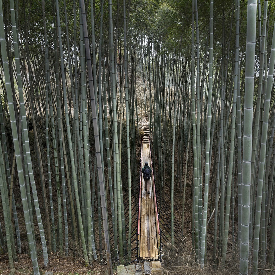 Bamboo Forest Walking Path at Sun Township Huoshan County Anhui Province by Fu Yingbin Studio