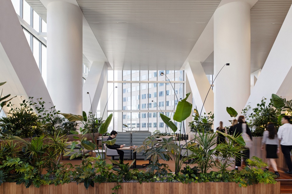nab places new melbourne hq by hassell