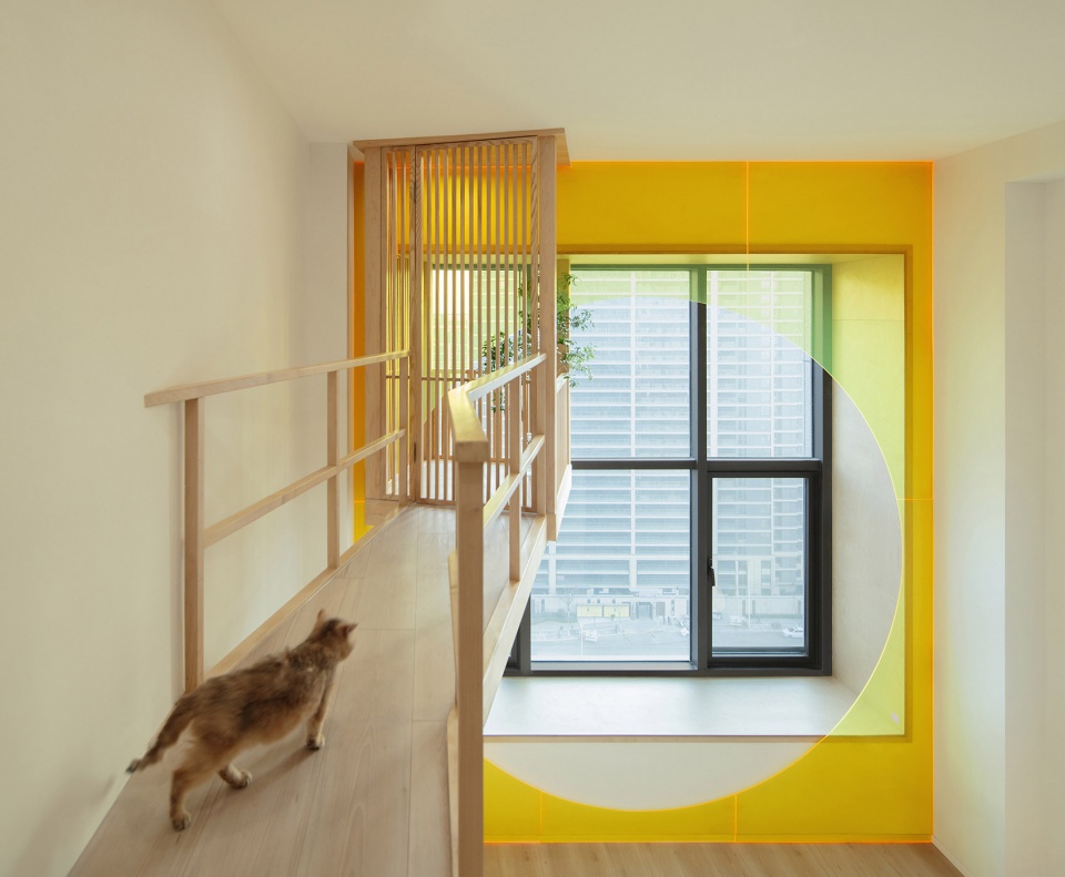 home for a girl and six cats residential unit design by jiejie studio