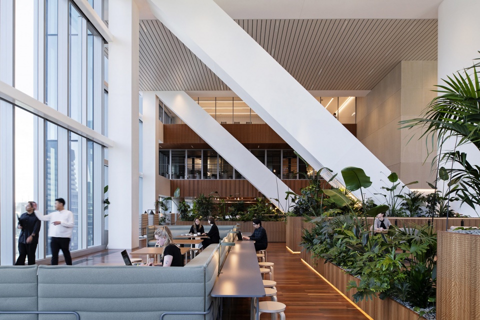 nab places new melbourne hq by hassell