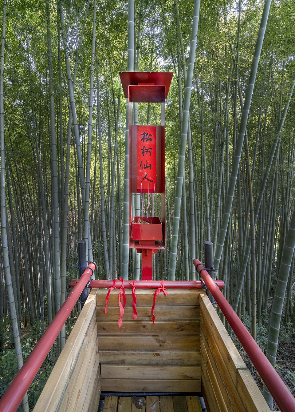 Bamboo Forest Walking Path, at Sun Township, Huoshan County, Anhui